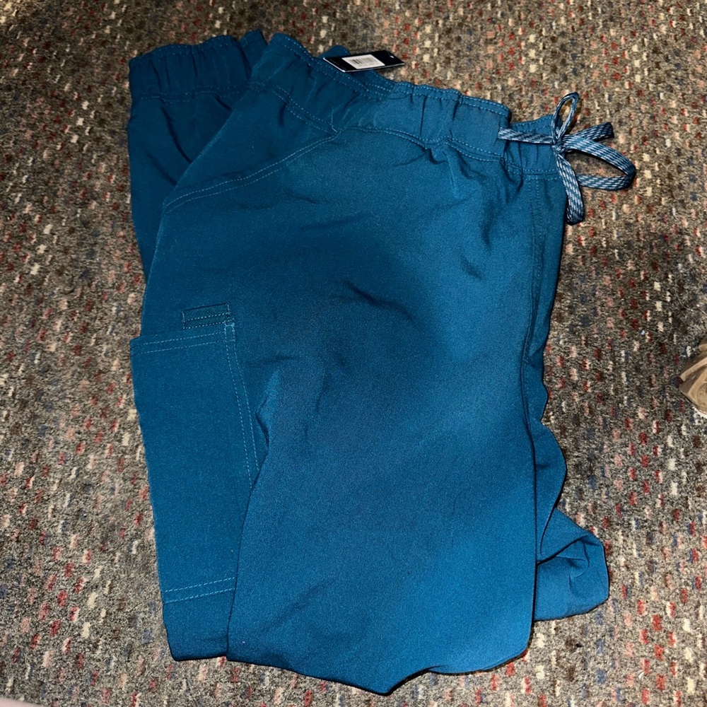 BNWT Jaanuu Joggers